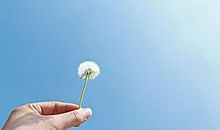 做错事后悔莫及的句子