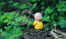 暑天禅心静的句子