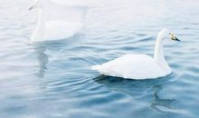 经典哲理笑话大全