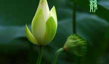 心静不下来跟冬天的接近句子