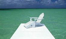 看景心静的句子