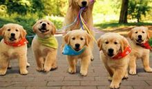 长一点的搞笑段子