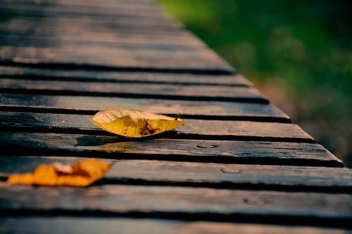 不要抱怨太多的痛苦