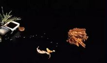 对姐妹失望心寒的句子