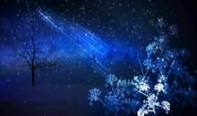 关于雪花的优美句子