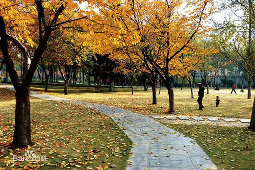 银灰色的云层在天空中飞舞