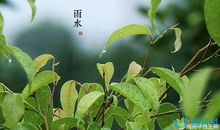 与雨水节气有关的句子