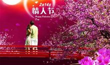 12月14日情人节短信