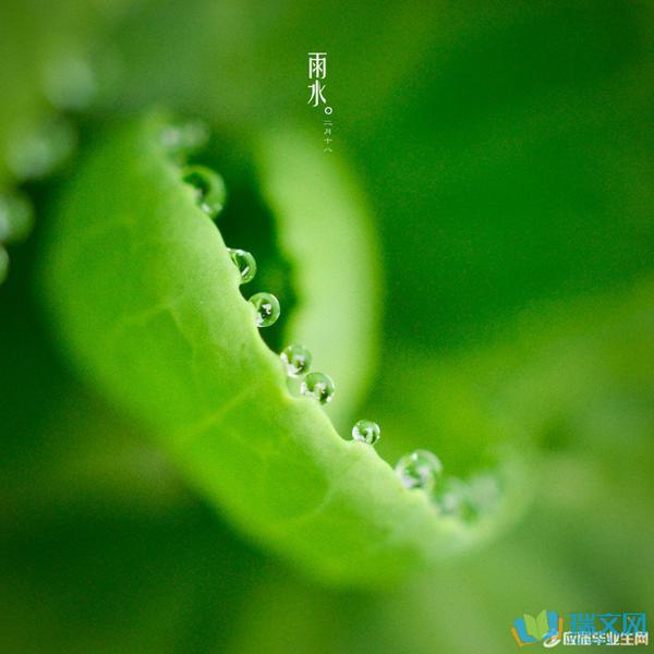 柳树和绿色的旅馆是新的