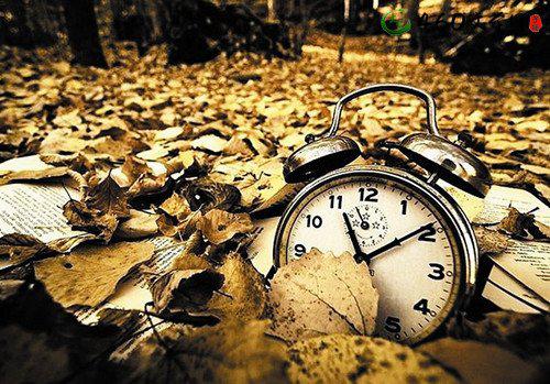    谈论生活中的情绪短语31句话  1