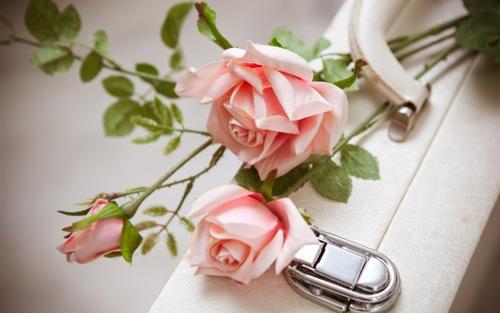 希望每个人都开心