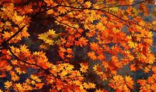 好久不见很开心的句子