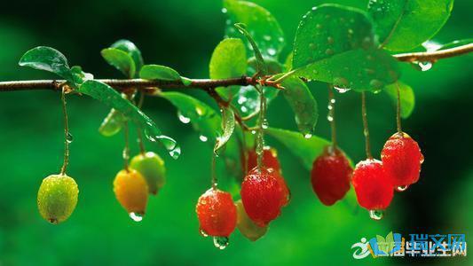以下是小编针对雨天和日晒条件汇编的句子