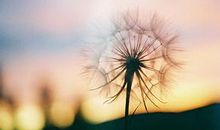 关于因缘的禅语20句(八)