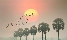 有深度有品味的句子