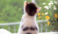 形容一个人开心自在的句子