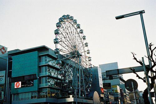 编辑编辑了一些有关描述和珍爱母爱的句子