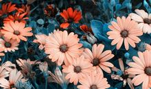 亲情之间伤感的句子