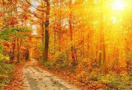 “朋友是一碗茶