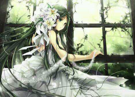 新月像一条小船