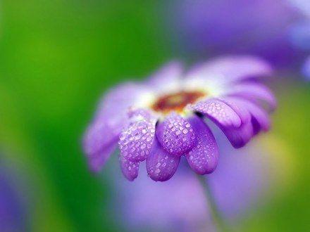 让我们看一下编辑编造的祝福家人的句子