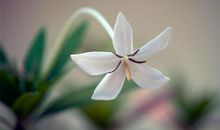 抗击疫情暖心标语 防范疫情打赢疫情标语