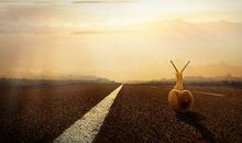 关于进步的人生感悟句子