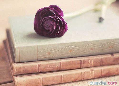 让我们来看看一些家庭编辑为家庭写作写的热情的句子