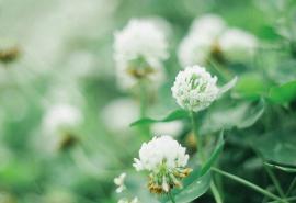 并谈论了情绪短语