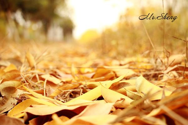 秋天是收获的季节