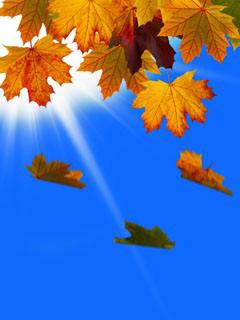 信息就像糖果一样