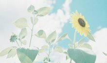 叙亲情暖人心的句子