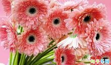 写作文关于春天的经典句子 适合写日记的描写春天句子