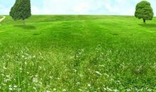 教育团队口号比较霸气搞笑