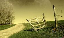 表达对父母很失望的句子