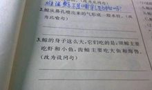 描写书的比喻句