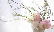 结婚时感恩父母的句子