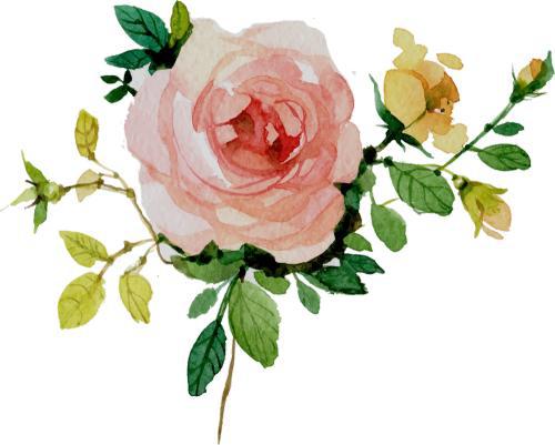 请欣赏小编关于幸福的重要性的句子