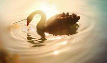 人生抉择的经典句子