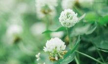 哄妹妹开心的句子套路