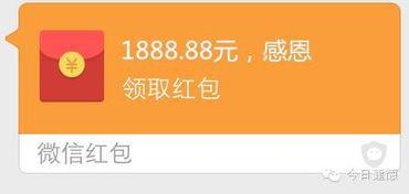 希望大家每天都开心