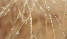 人生句子表达心情