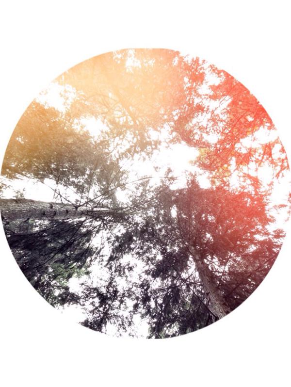 就没有成功的泪水