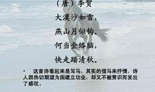 描写马的诗句