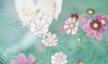 人生深奥哲理感悟句子