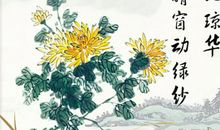 描写菊花的古诗
