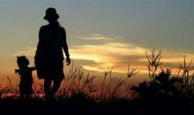 关于亲情的句子