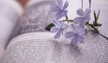 关于淡淡的忧伤的句子