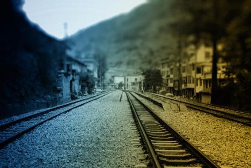 编辑编写了一些关于珍惜家庭之爱的经典短句