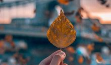 对学生表现失望的句子